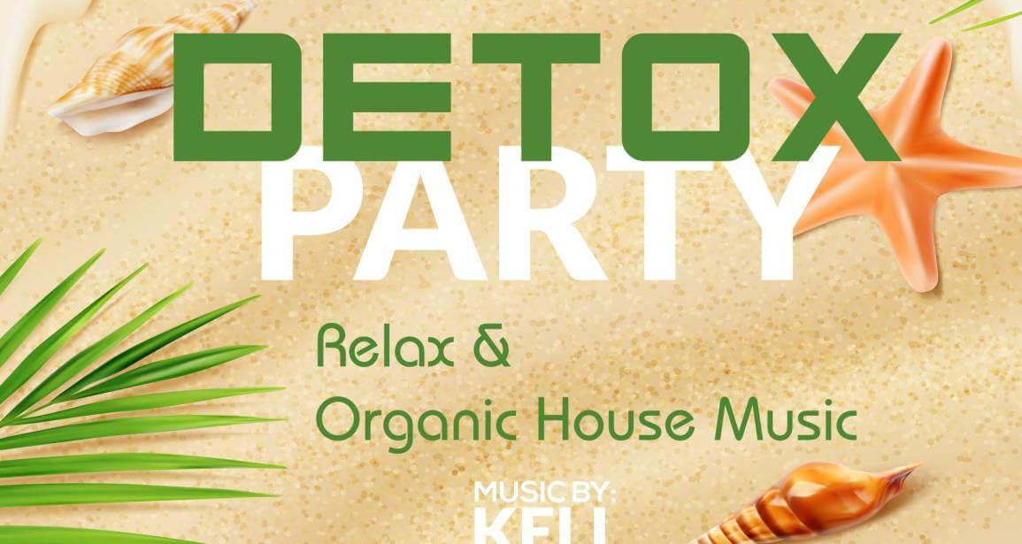 Detox Party | Organic House Music